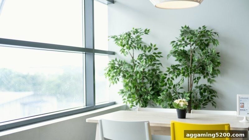资金分配策略：体育投注赔率视角下的真人游戏长期娱乐法则