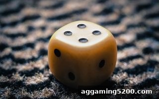从体育投注赔率视角看五龙争霸策略：数字游戏中的概率智慧