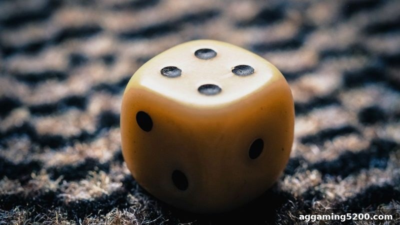从体育投注赔率视角看五龙争霸策略：数字游戏中的概率智慧